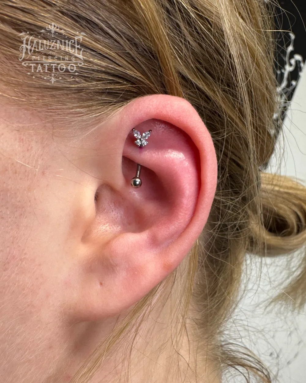 Rook