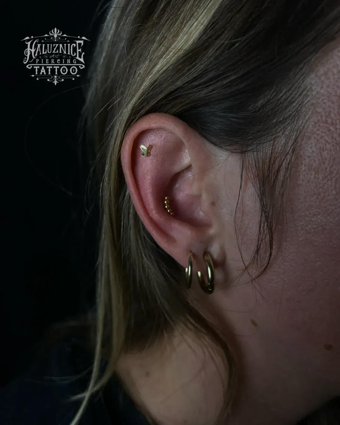 Conch